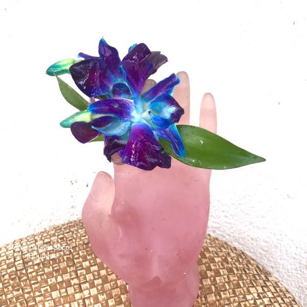 Blue and purple orchid bloom held in a pink hand-shaped vase
