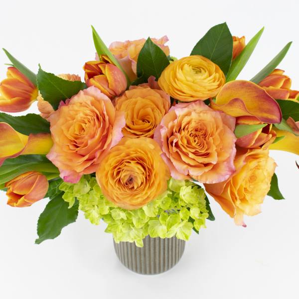 Orange roses and tulips in a striped vase with green hydrangea