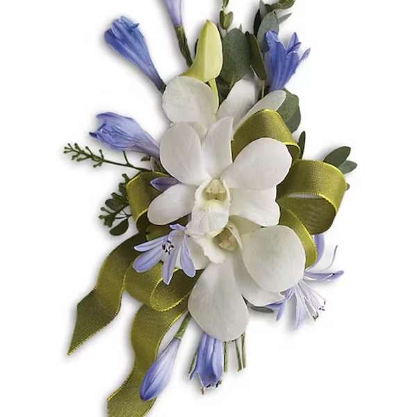 White orchid corsage with blue flowers and olive ribbon