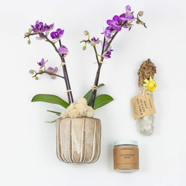 Peaceful Mind Gift Set