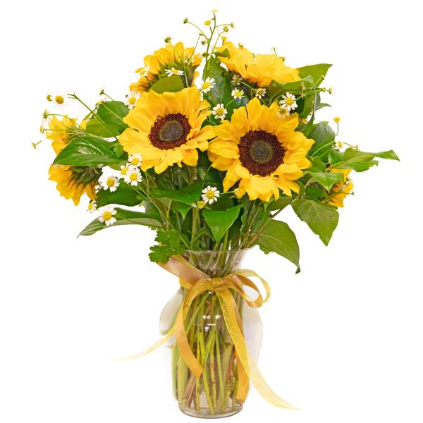 Sunflower bouquet in a glass vase with a yellow ribbon