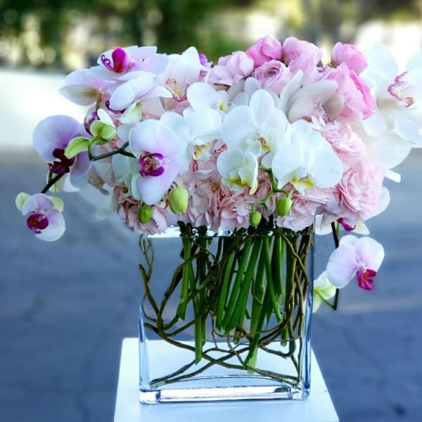 Pink and white orchids arranged in a clear square vase