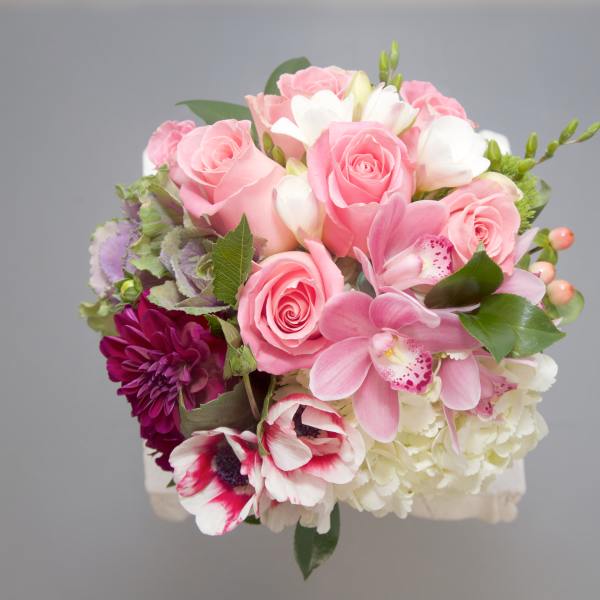 Fantastic Forest Hill