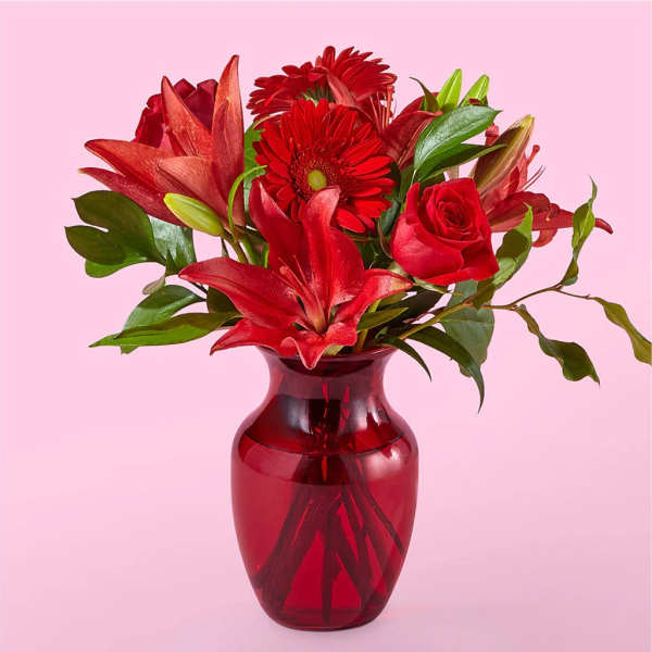 Red flowers arranged in a red glass vase on a pink background