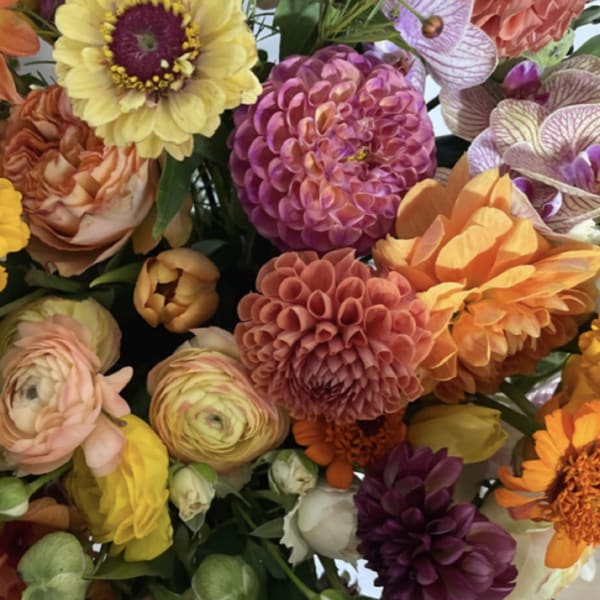 Designer's Choice - Fall