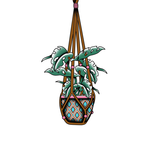 Hanging potted plant with split-leaf foliage in a patterned pot