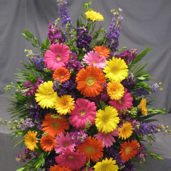 Bright mixed gerbera bouquet with purple filler flowers