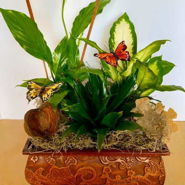 Potted green plant arrangement with decorative butterflies in a carved wooden container