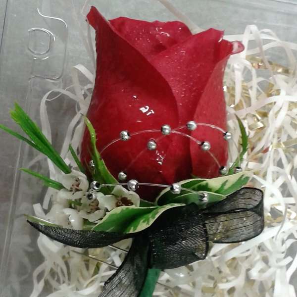 Single red rose with decorative ribbon and beads in clear wrap