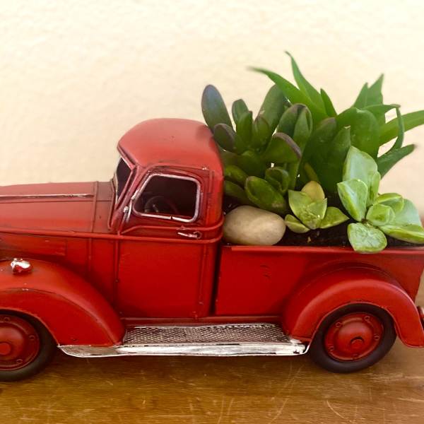 Red vintage truck planter filled with succulents