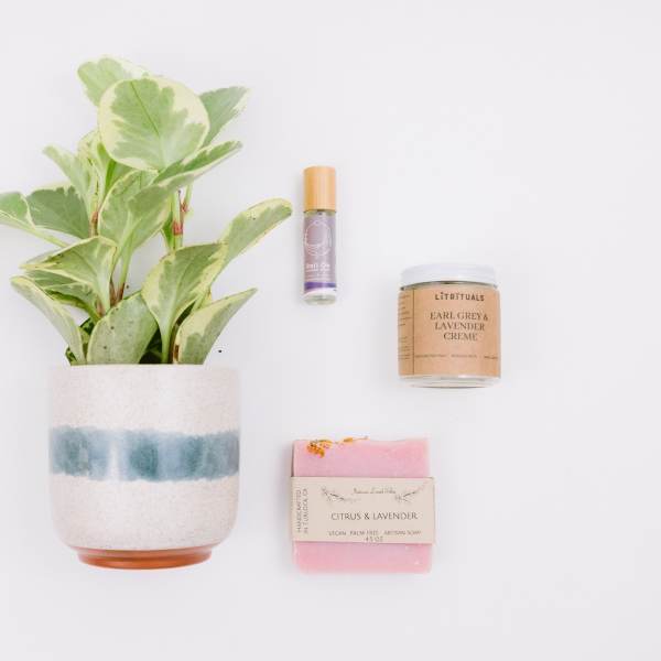 Potted plant with a candle, soap, and small bottle arranged beside it