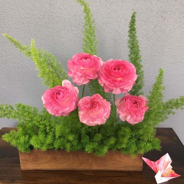 Pink ranunculus arrangement in a wooden box with tall green foliage