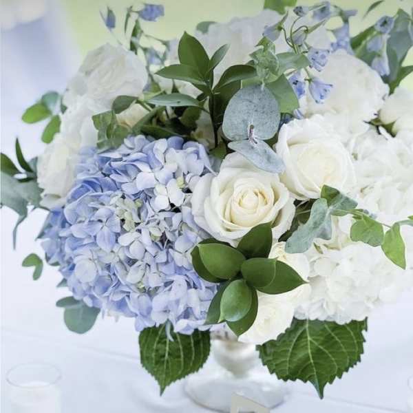 White roses and blue hydrangeas in a low bouquet with greenery