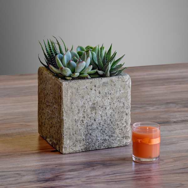 Succulent arrangement in a square concrete planter beside an orange candle