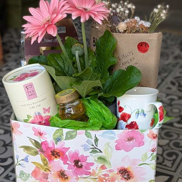 Gift box with a potted pink gerbera daisy plant, tea, honey, mug, and treats in a floral-patterned container
