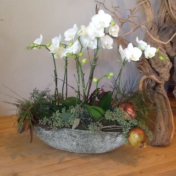 White orchid arrangement in a stone bowl with decorative greenery