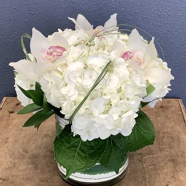 White hydrangea arrangement with white orchids in a low vase