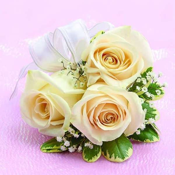 Three cream roses with white ribbon and small filler flowers