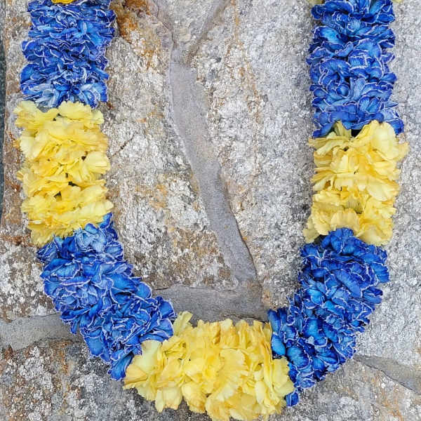 Blue and yellow flower lei draped over a stone surface