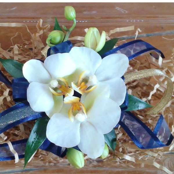 White orchid arrangement with blue ribbon accents in a clear box