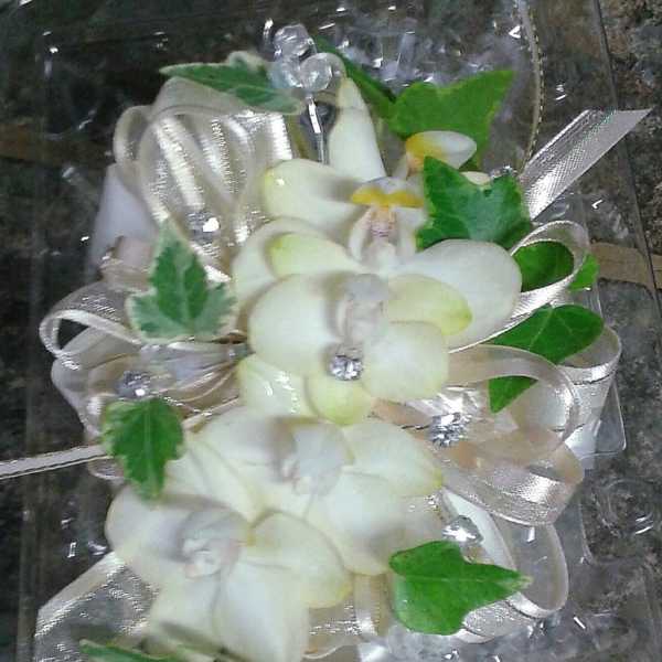 White orchid corsage with silver ribbon and green leaves