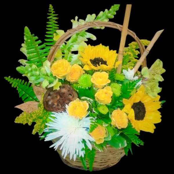 Basket arrangement with yellow sunflowers and roses on a black background