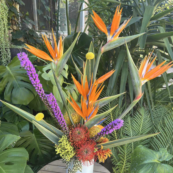 Tropical arrangement with orange bird-of-paradise and purple accents in a white vase