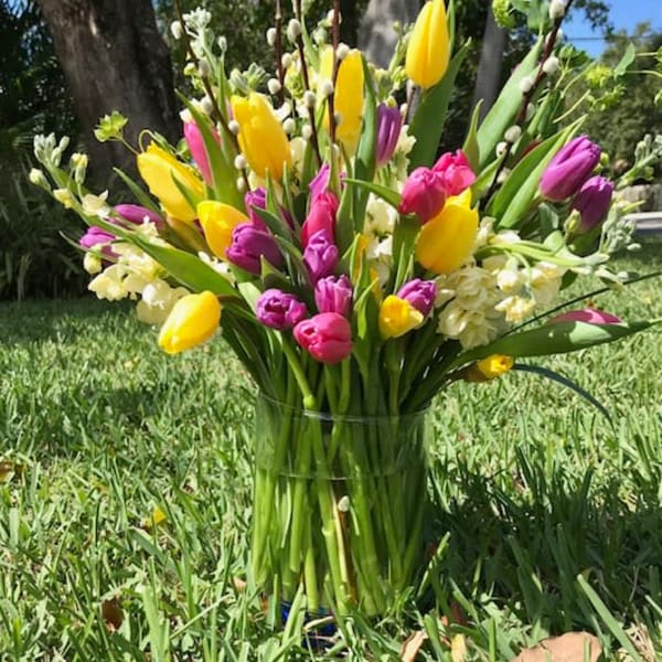 Tall glass vase of yellow and pink tulips with white flowers and pussy willow branches on grass