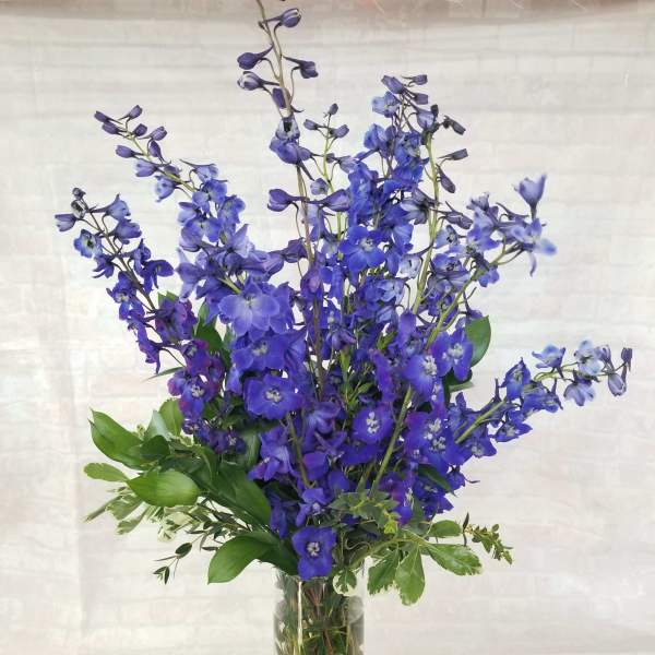 Tall blue delphinium arrangement in a clear glass vase