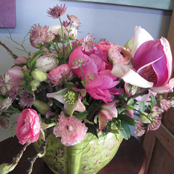 Magnificent Magnolia