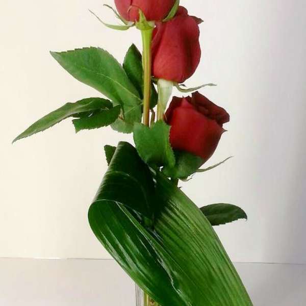 Three red roses in a clear glass vase with large green leaves
