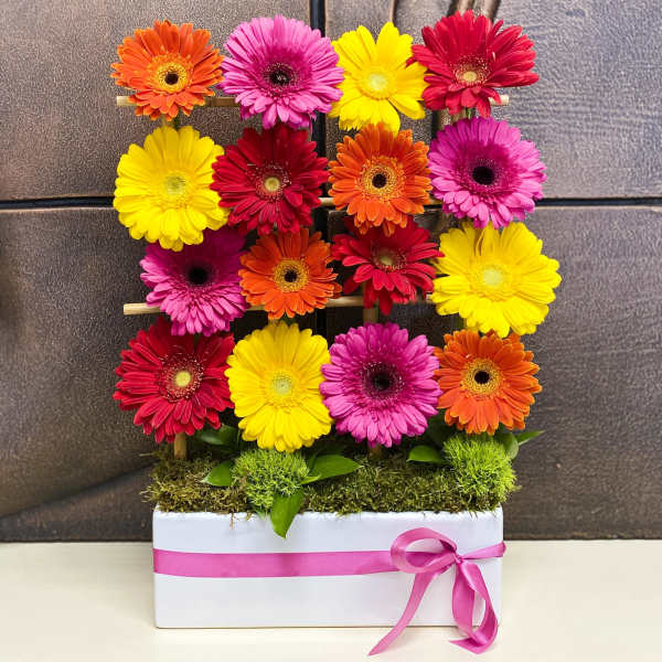 Colorful gerbera daisies arranged in a white box with a pink ribbon