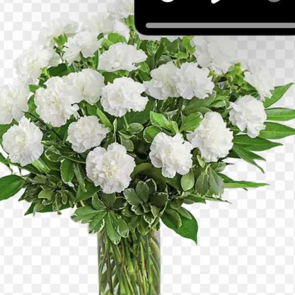 White carnations in a clear glass vase with green foliage