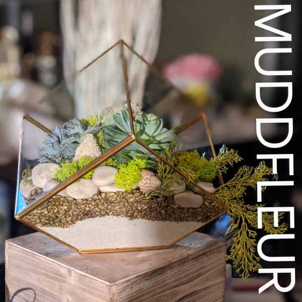 Succulicious Modern Terrarium