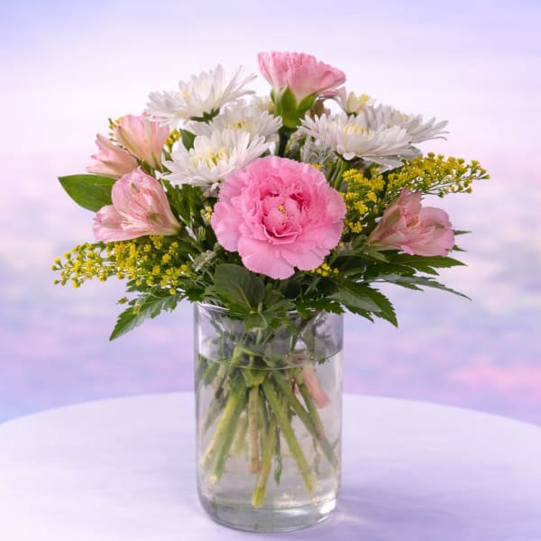 Blushing Daisy Delight