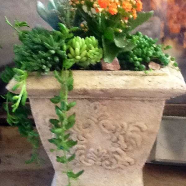 Succulent planter
