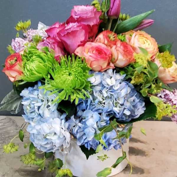 Colorful arrangement of pink roses, green mums, and blue hydrangeas in a white cylinder vase.