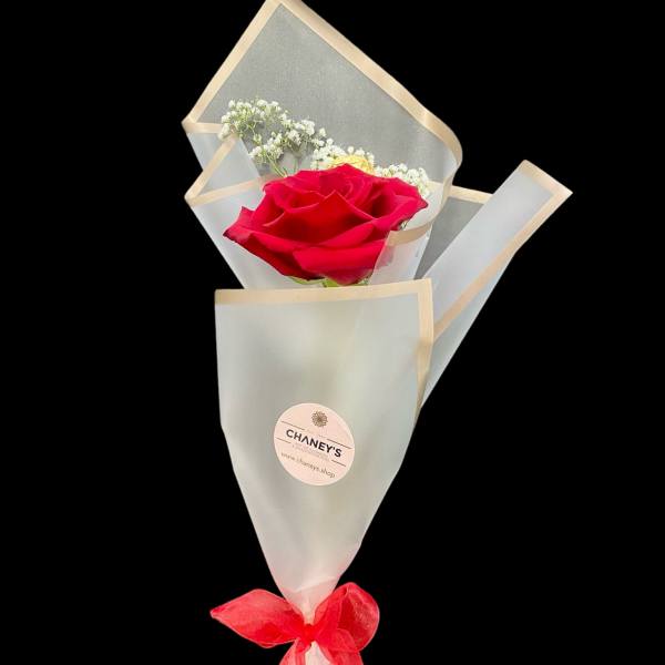 Single red rose wrapped in white paper with a red ribbon