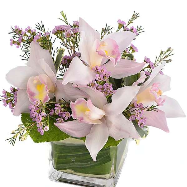 Pink orchids in a square glass vase with small purple filler flowers