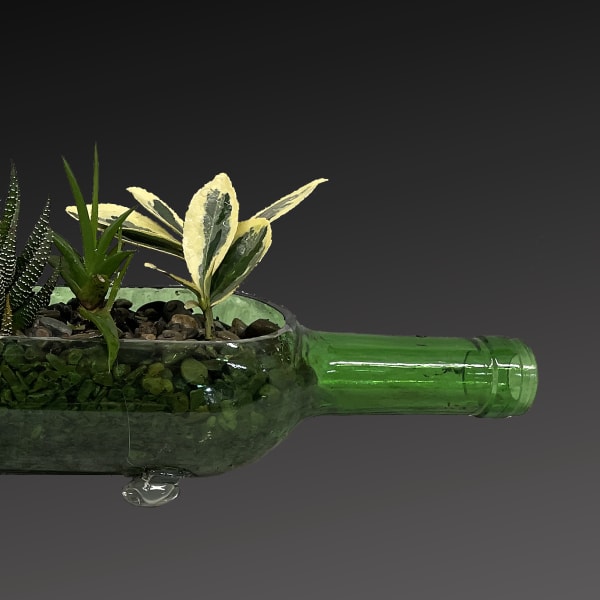 Succulent plants arranged in a green glass bottle planter