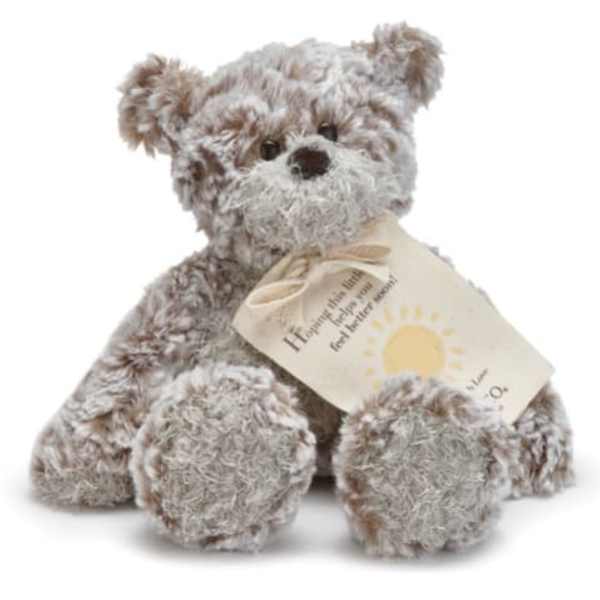 Plush teddy bear holding a small gift tag