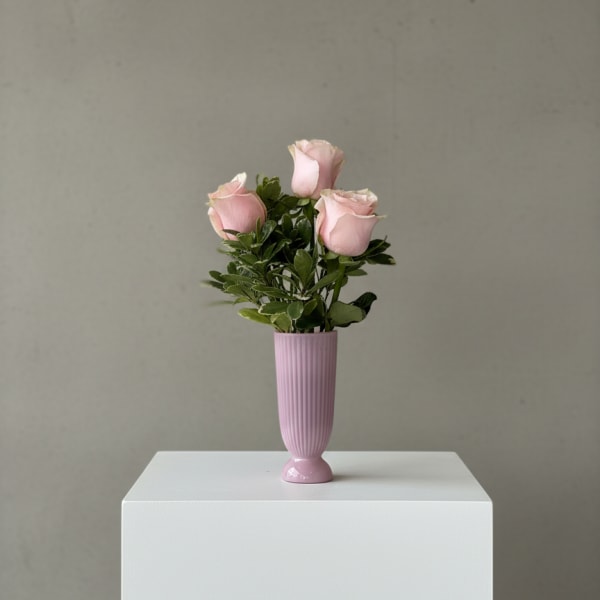 Three pale pink roses in a pink vase