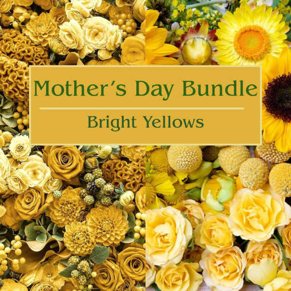 Mother's Day Bundle - Bright Yellows