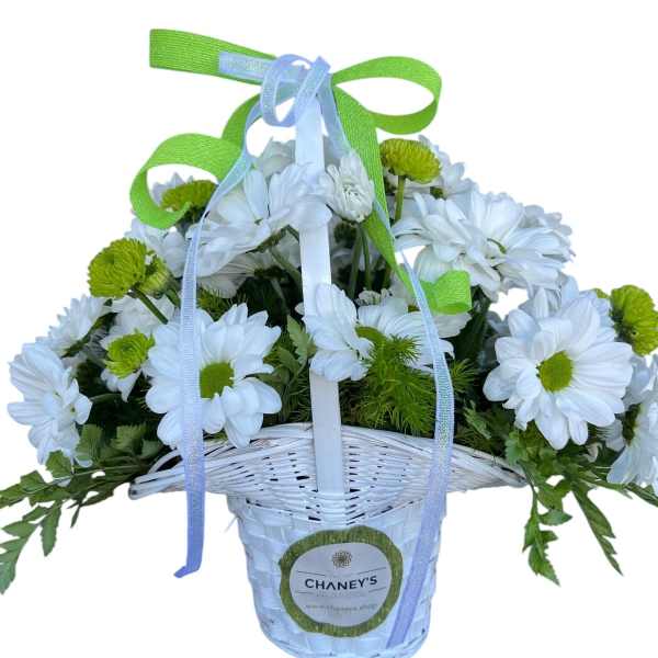 White daisy bouquet in a white basket with blue and green ribbons