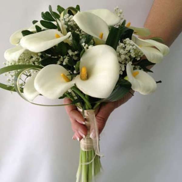 Bouquet of white calla lilies with greenery and baby's breath