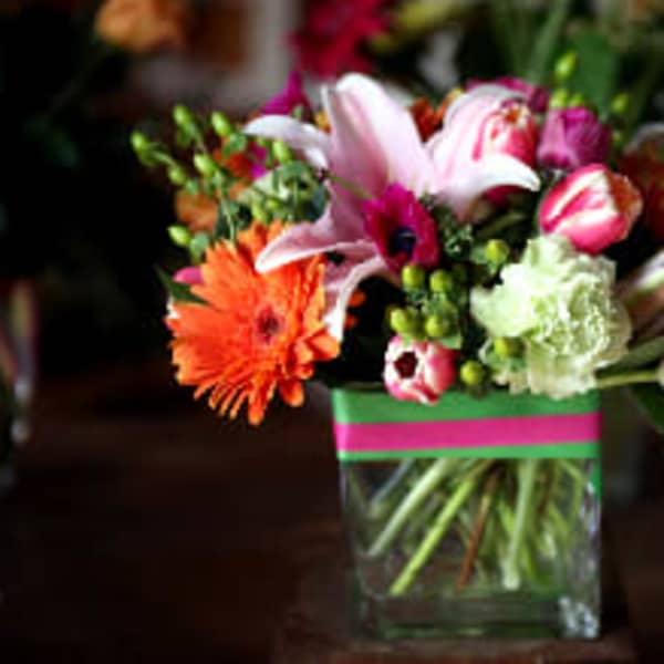 Bloomsberry Signature Compact