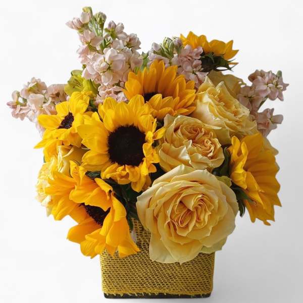 Citrus Peach Beauty Designer's Choice