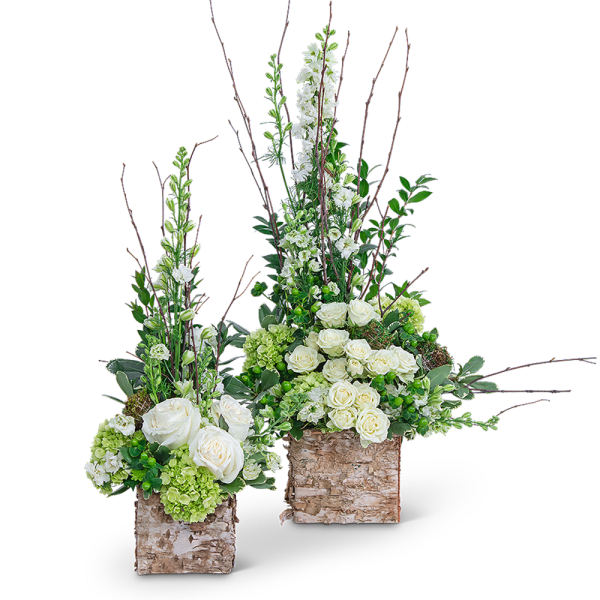 Two tall floral arrangements with white roses and green blooms in birch containers