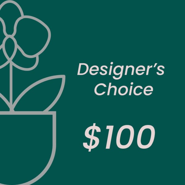 Designer's Choice $100 gift card graphic on a teal background