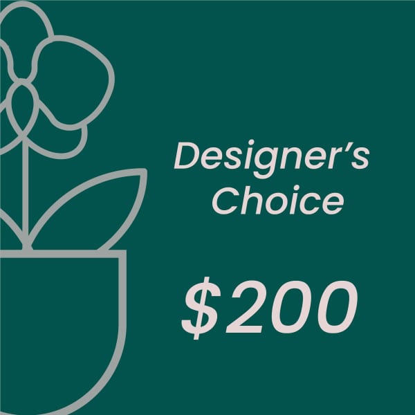 Designer’s Choice $200 graphic on a teal background